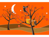Autumn Owls 2