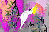 BushFire White Cockatoo 3