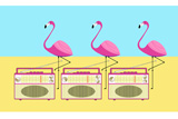FlamingosAndRadios2