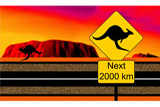 Kangaroos2000km