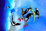 Magpie Gliders 3
