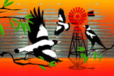 OutBackMagpies