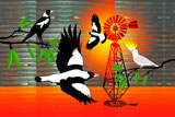 OutBackMagpies2