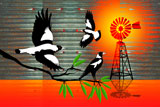 OutBackMagpies3