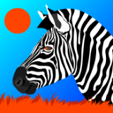 Savanah Zebra.