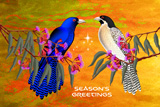 StormBirds Christmas 6