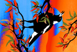 The Singing Magpie 3A